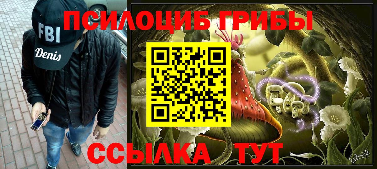 Псилоцибиновые грибы Magic Shrooms Каменка