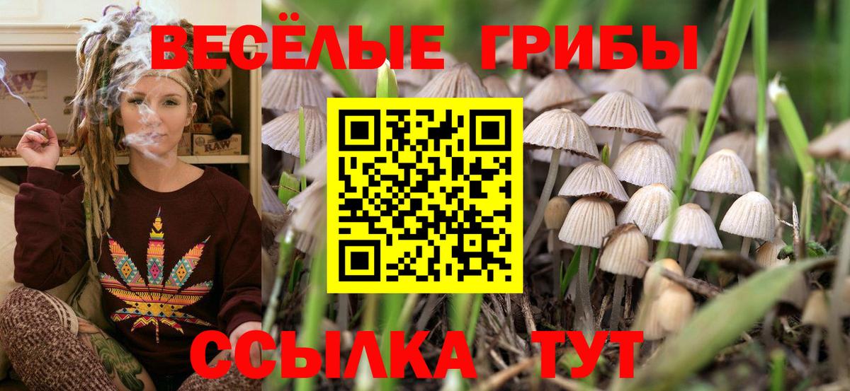 Галлюциногенные грибы прущие грибы  Вход с VPN  Галлюциногенные грибы мухоморы  Каменка 